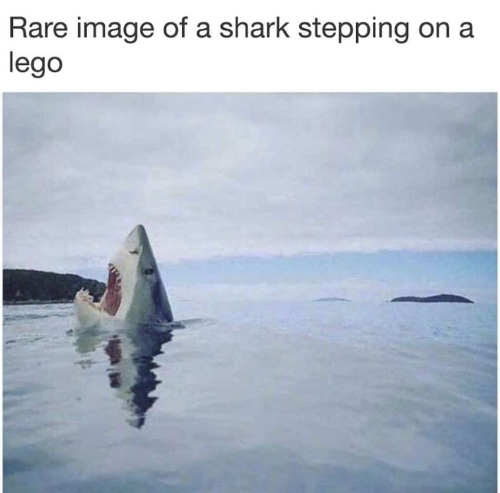 shark skill test meme